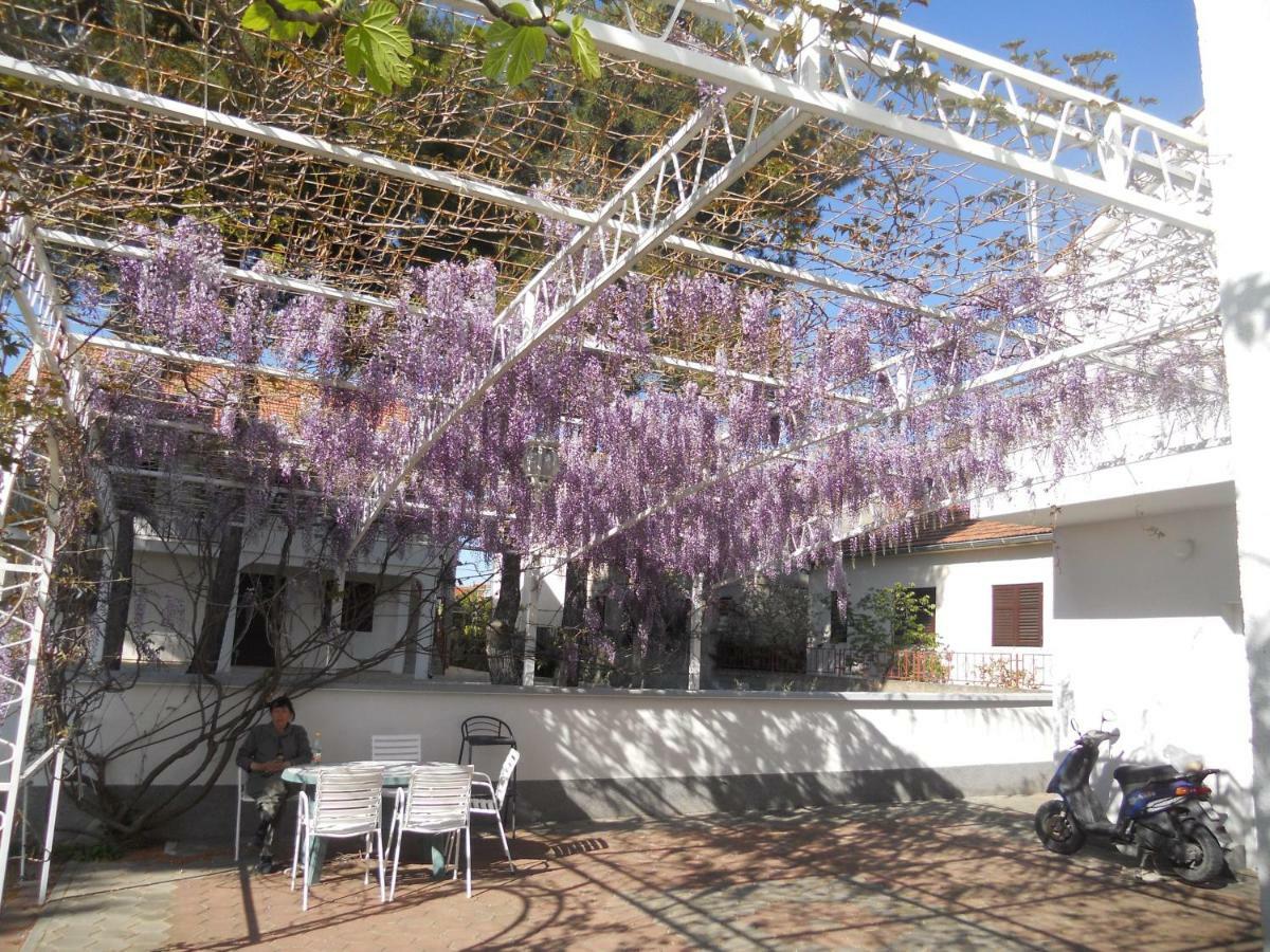 Apartments Gaj Brodarica  Extérieur photo