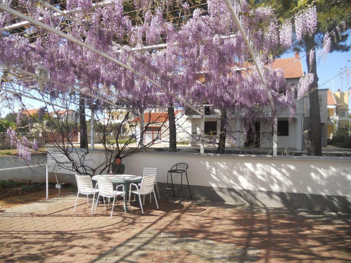 Apartments Gaj Brodarica  Extérieur photo